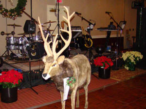 Oracle Band at Holly Ball - 2010